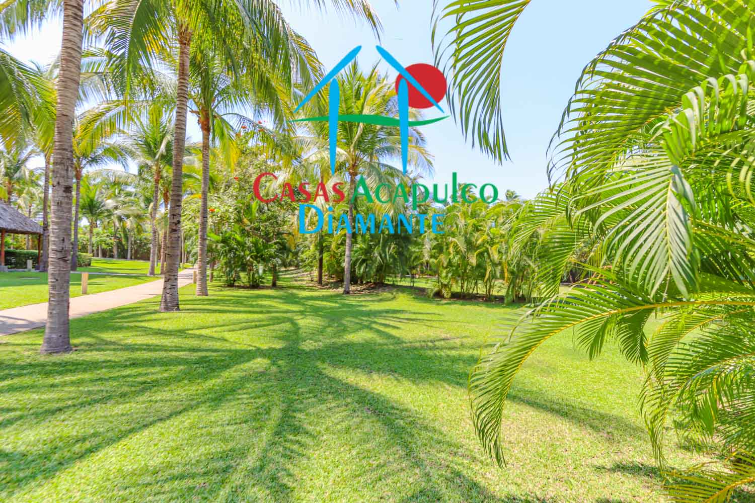 La Isla Residences - Áreas comunes Gran Caimán, Hawaii, Ibiza y Java 22